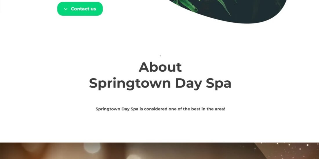 nail salon booking system and website — Zendev Studio